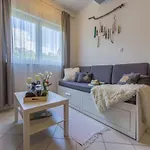 And Rabbit Apartment *