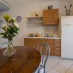 Apartment And Rabbit