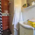 Apartment And Rabbit