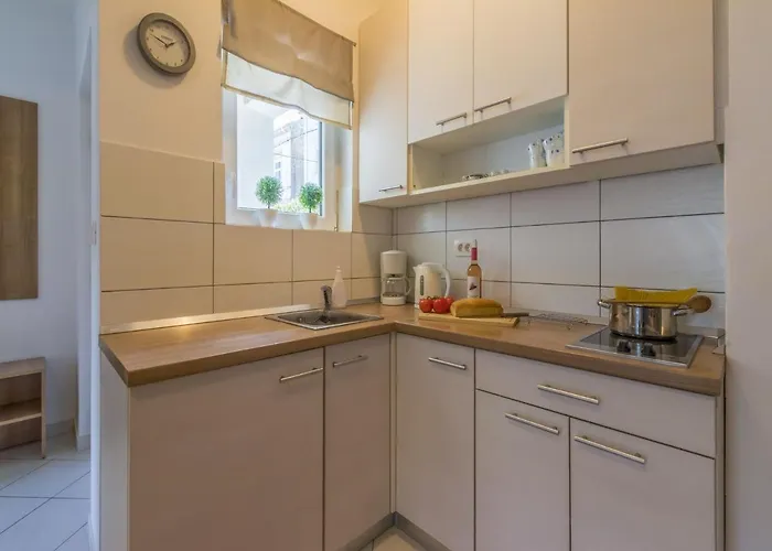 Rabbit * 크리크베니카